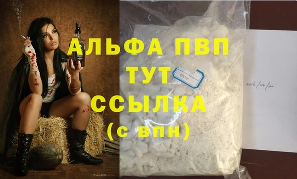 крисы Магас
