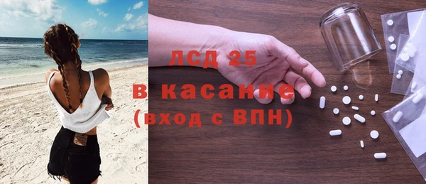 крисы Магас